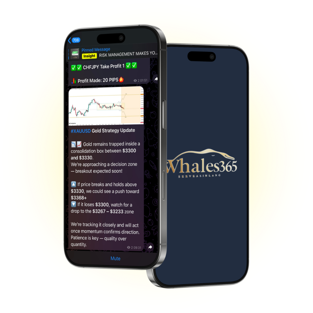 Whales365 Visual