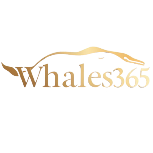 Whales365 Logo